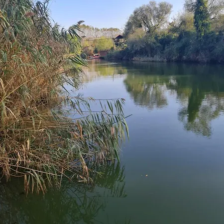 Agva Temmuz איסטמבול